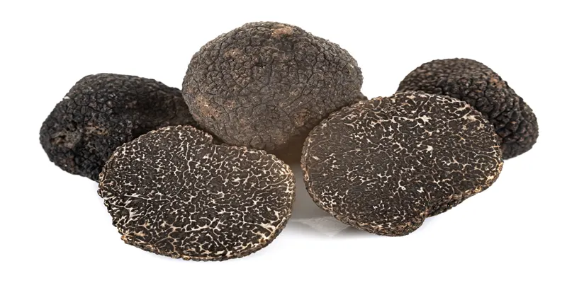 Where to buy Truffles