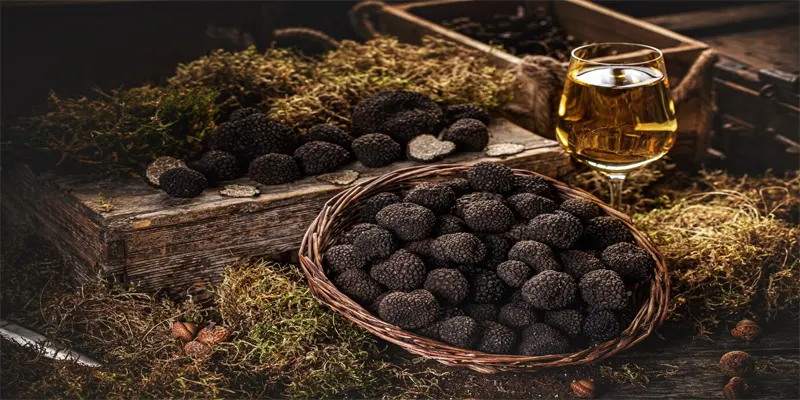 Buy Truffles Online