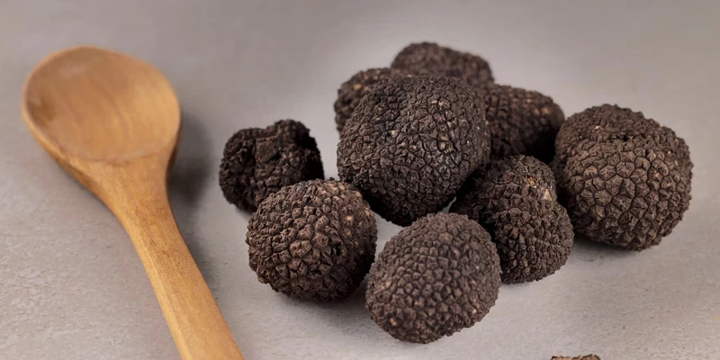 Truffles types