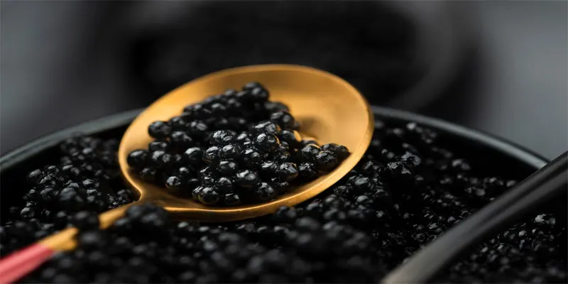 Best Caviar brands