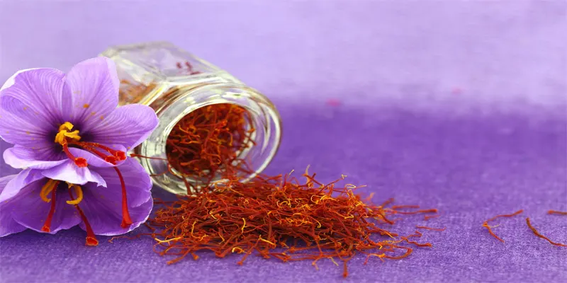 Saffron Substitutes