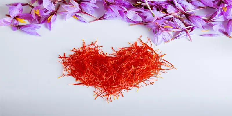 Saffron Medicinal Uses and Warnings