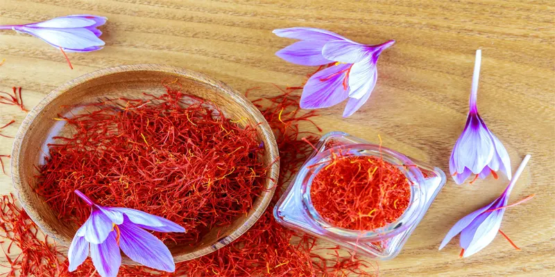 Saffron Side Effects and Interactions