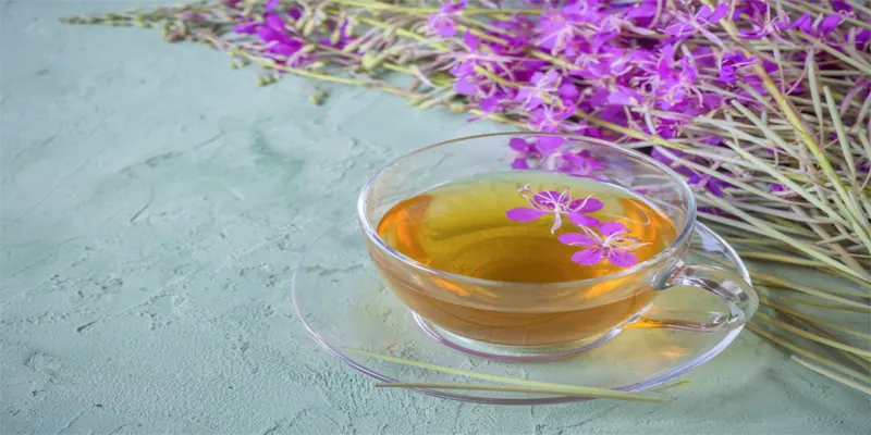 Saffron for Depression Research Studies