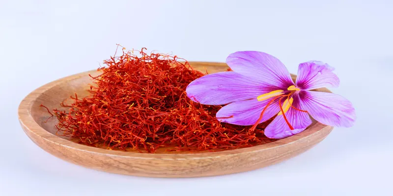 Saffron Health Benefits and Risks